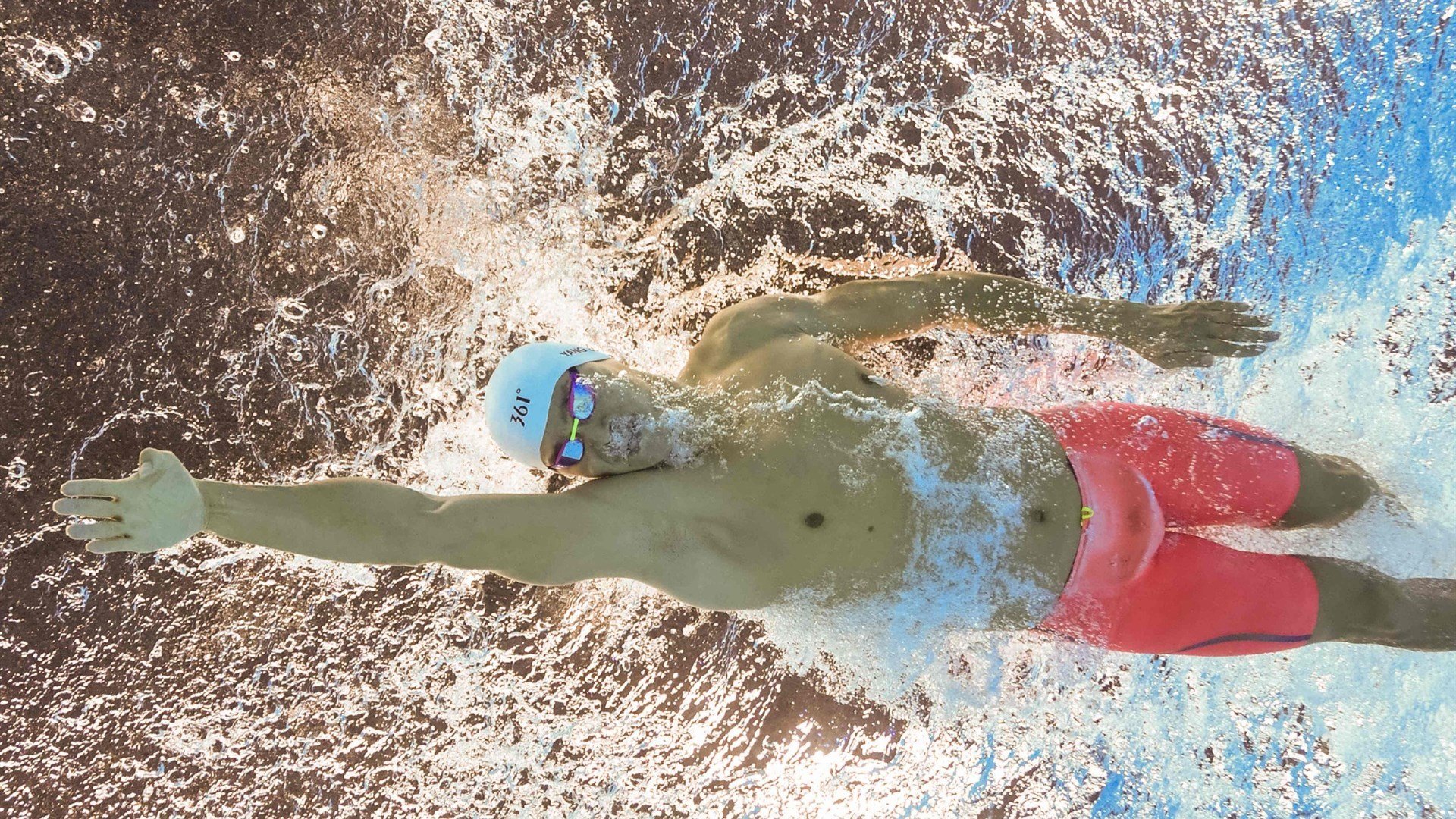 全明星阵容亮相，谁能成为焦点？，全明星阵容啥意思